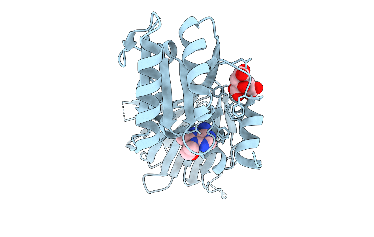 6RC4 image