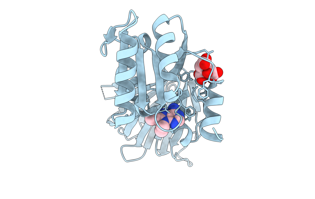 6RC5 image