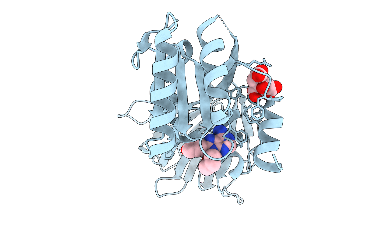 6RC6 image