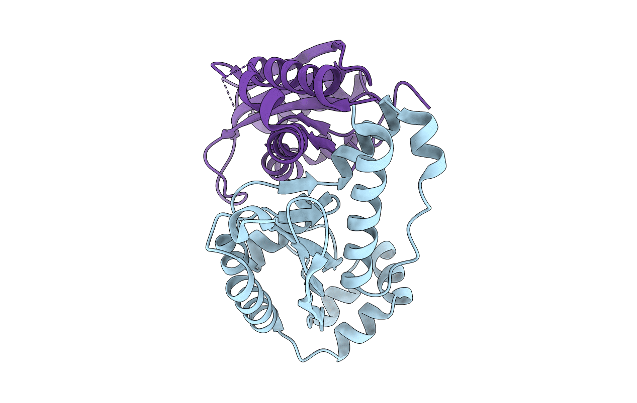6RCI image