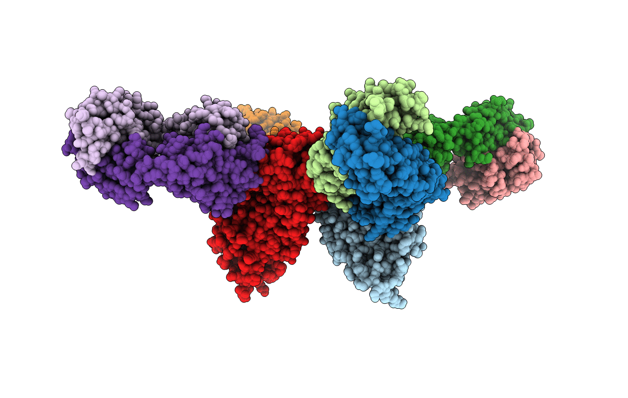 6RCV image