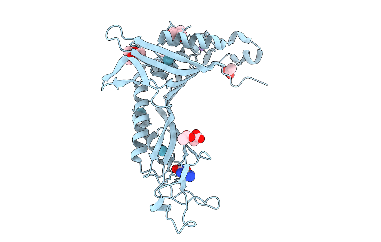 6RGM image