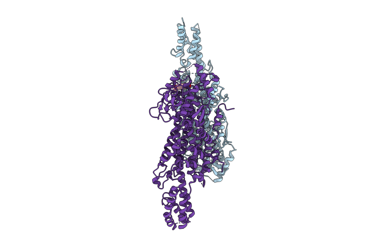 6RGS image