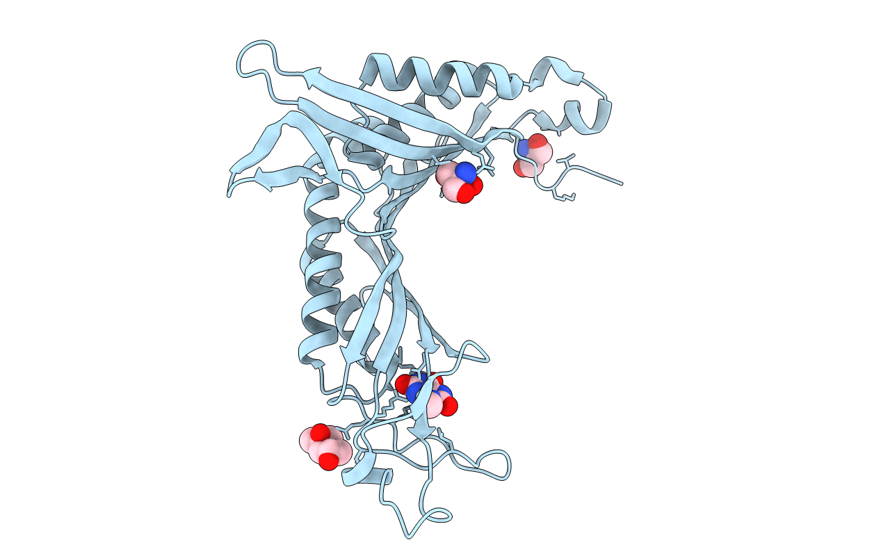 6RGT image