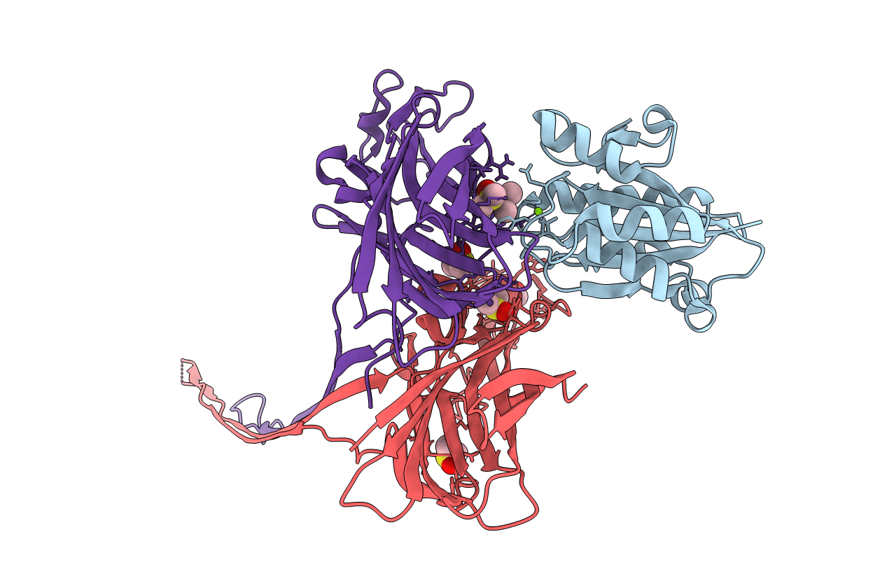6RHV image