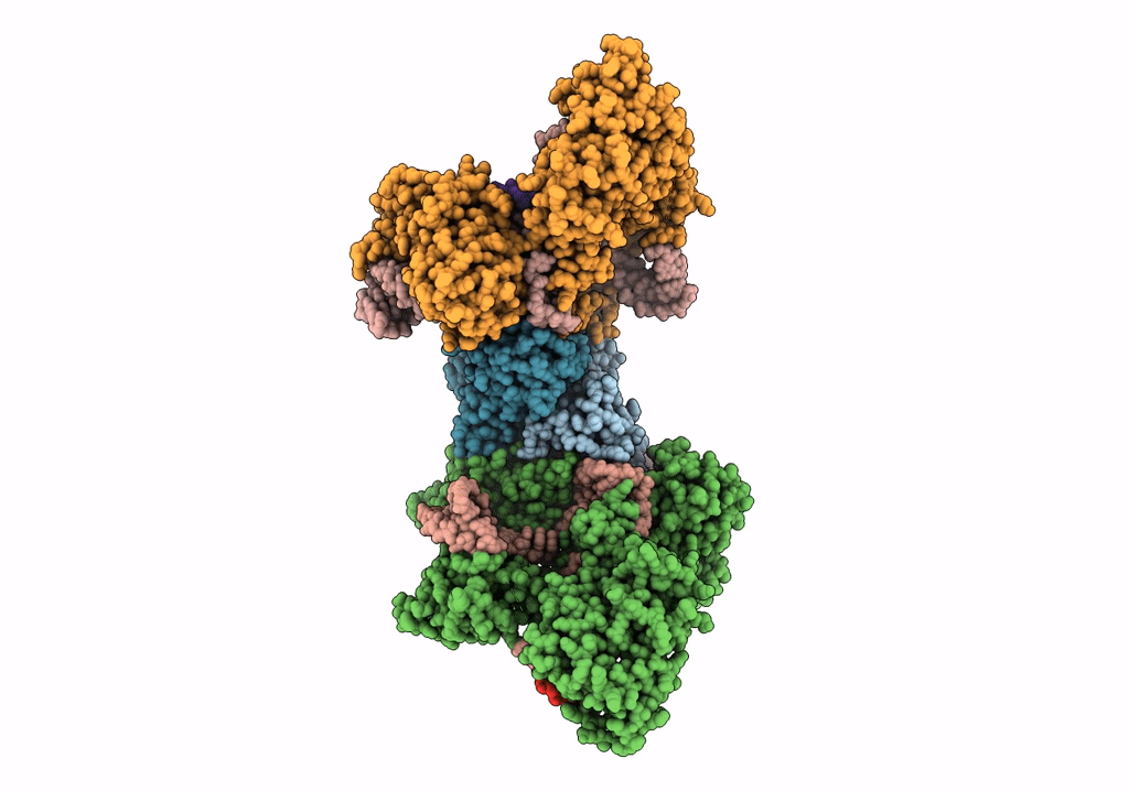 6RJA image