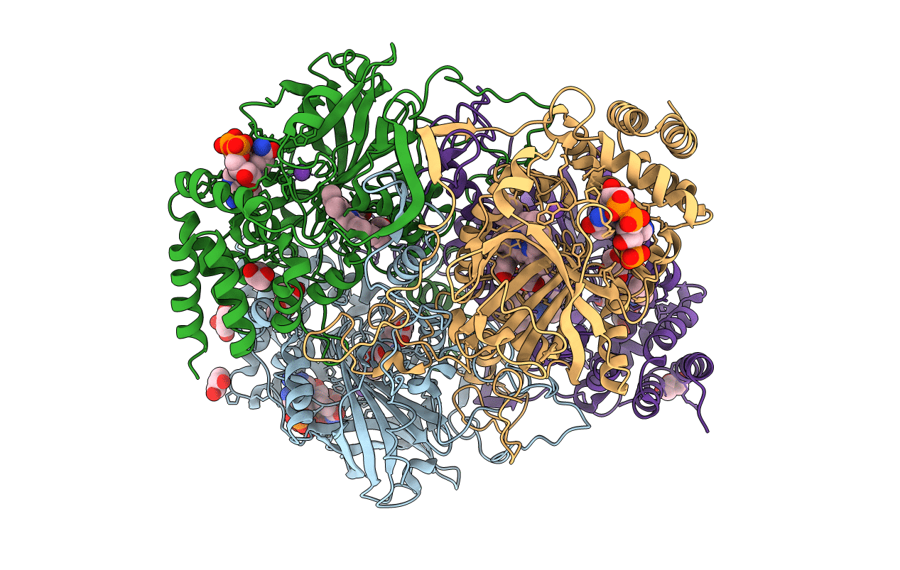 6RJR image