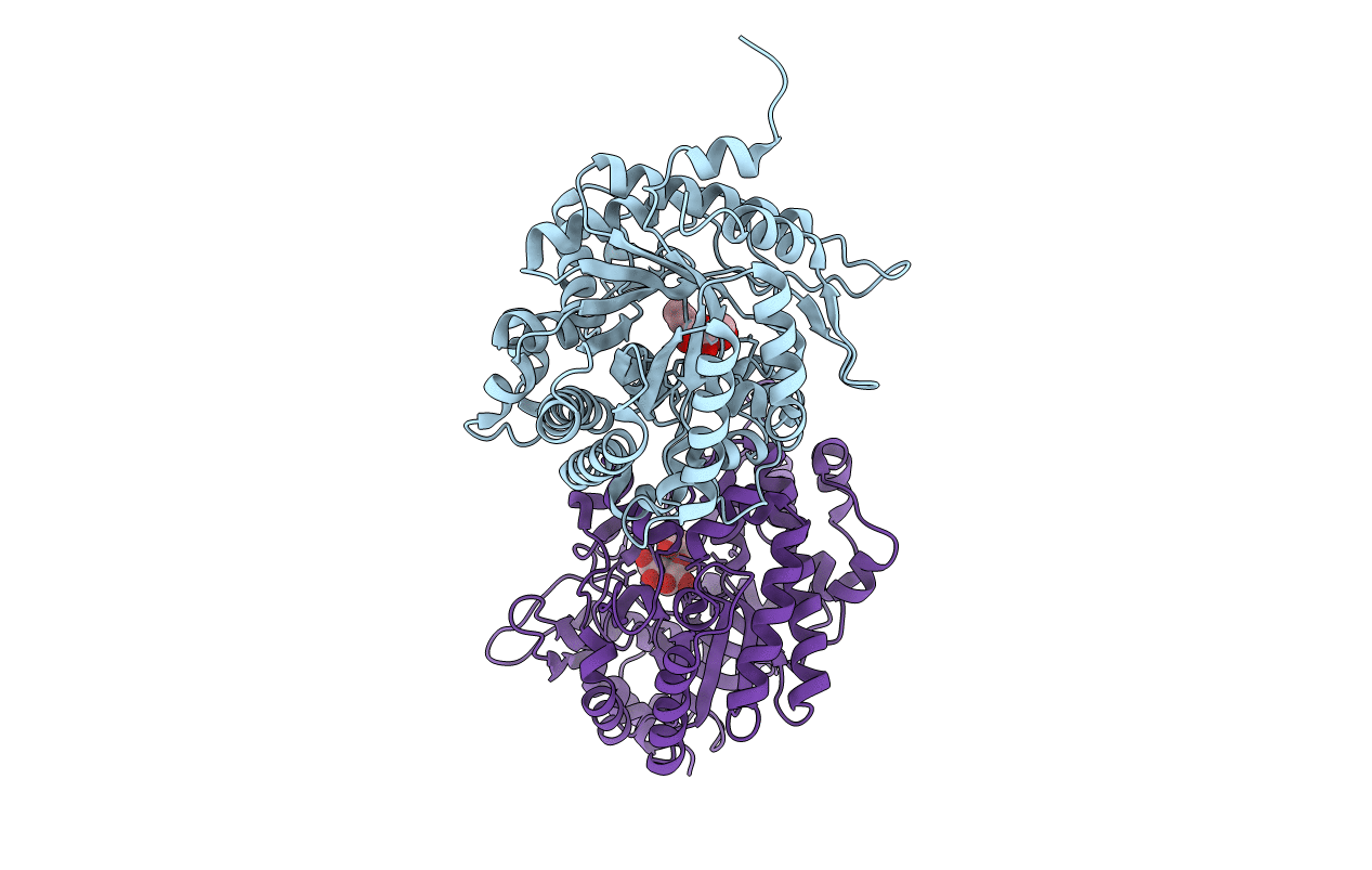 6RK2 image