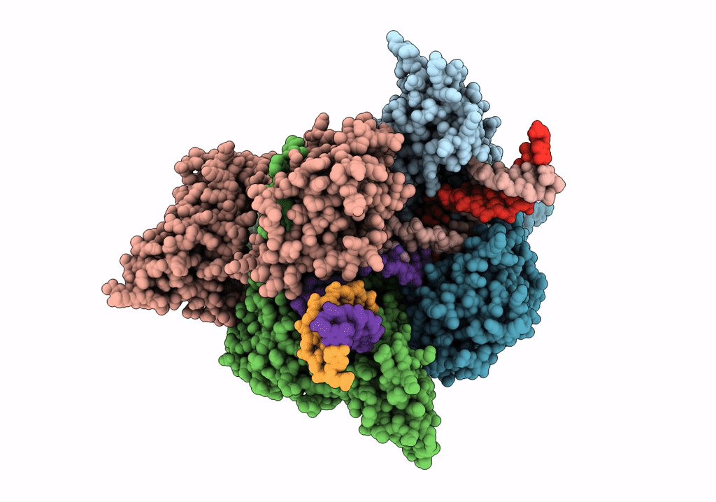 6RKU image