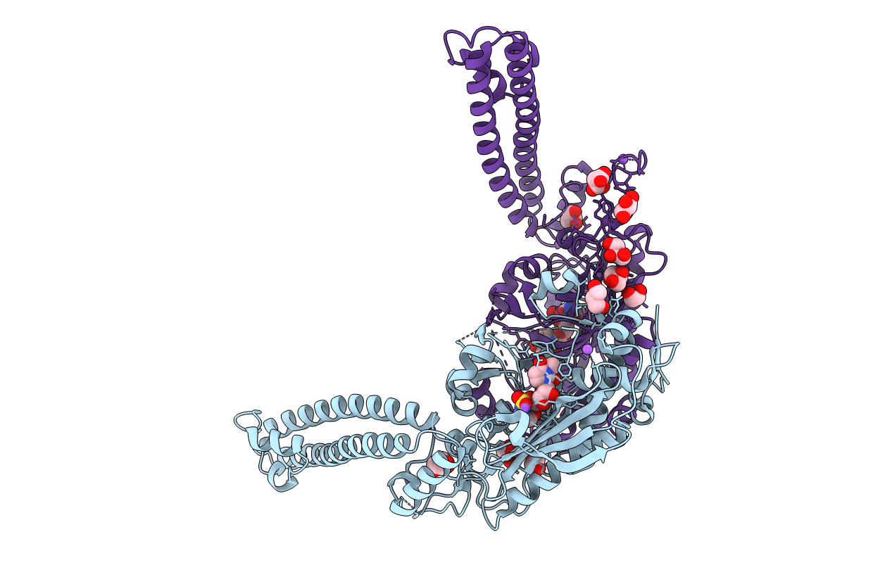 6RLV image