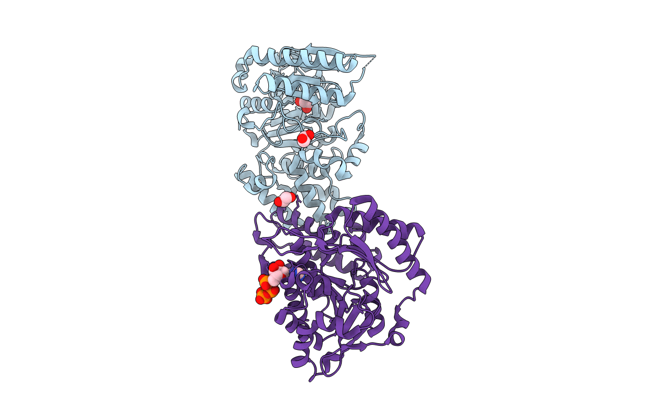 6RMD image