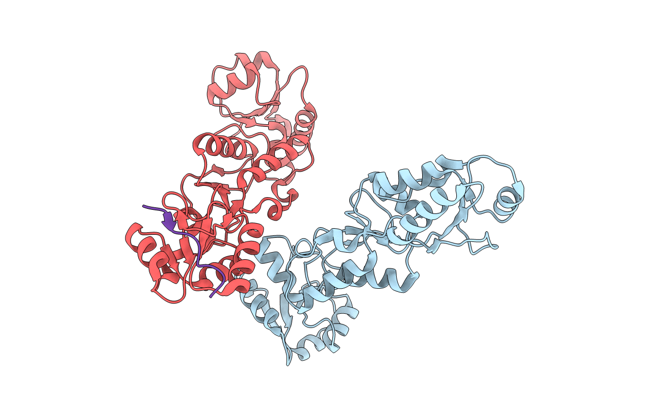 6RML image