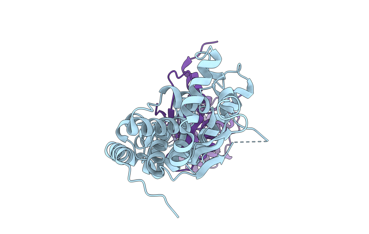 6RMN image