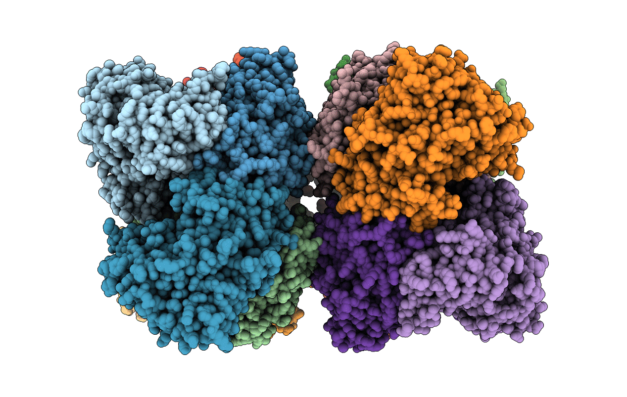 6RMO image