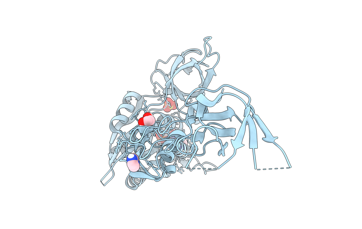 6RMS image