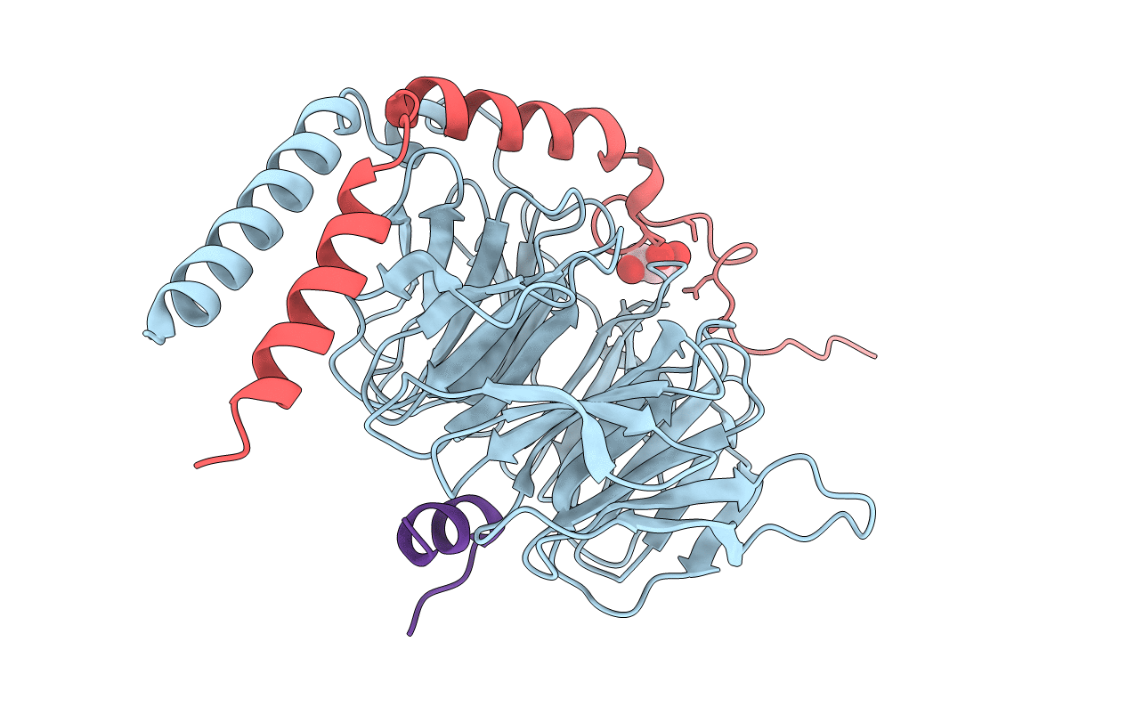6RMV image