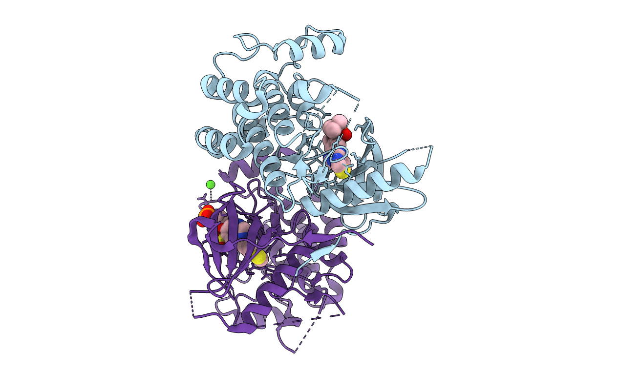 6RN8 image