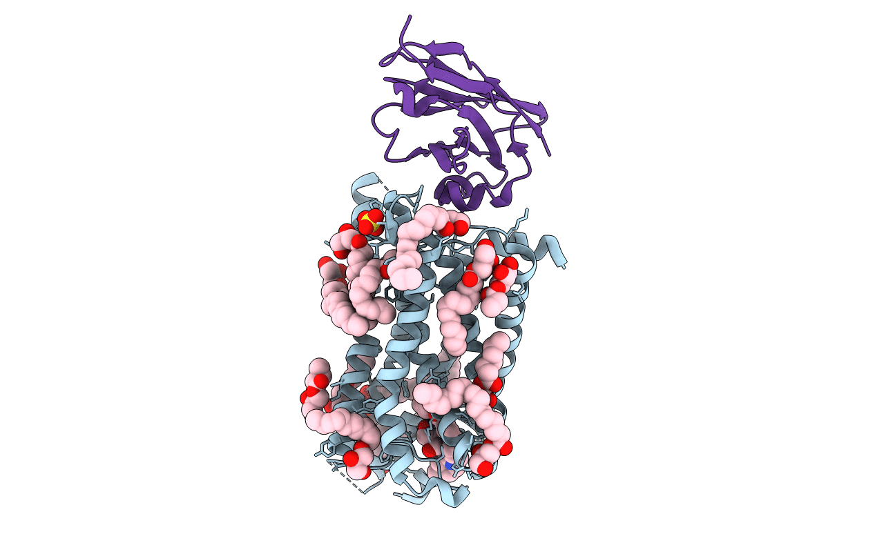 6RNK image