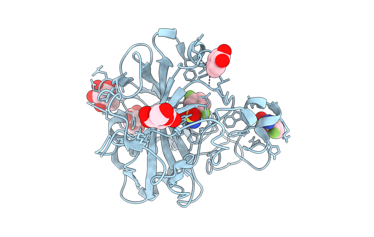 6RNP image
