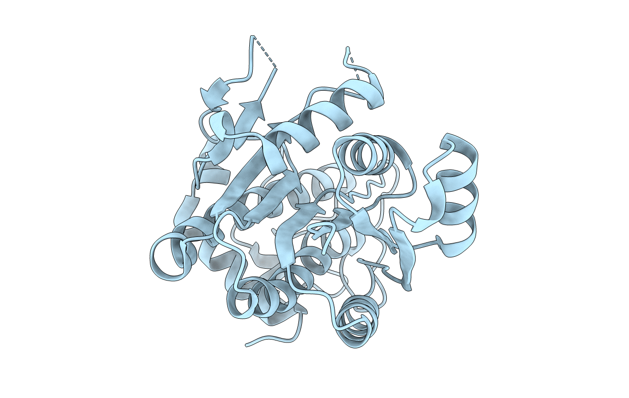 6RNV image