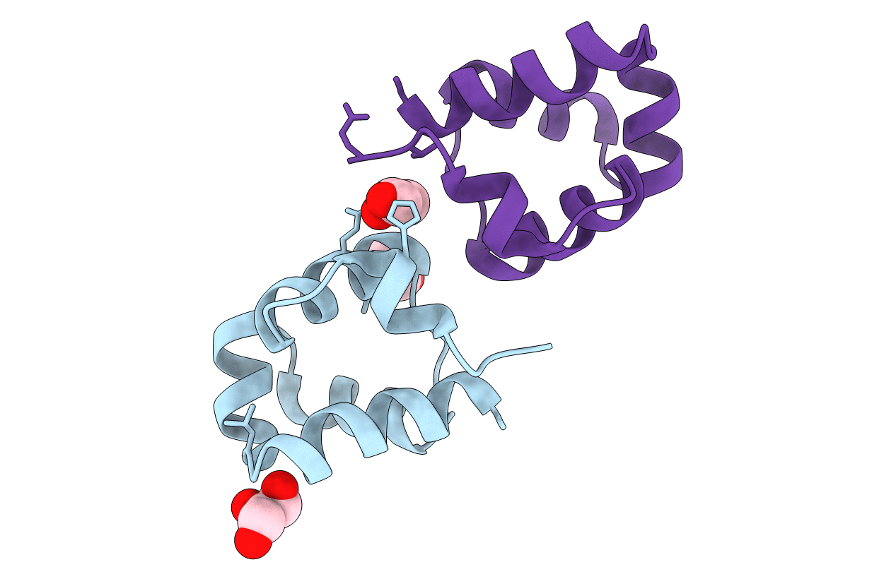 6RNZ image