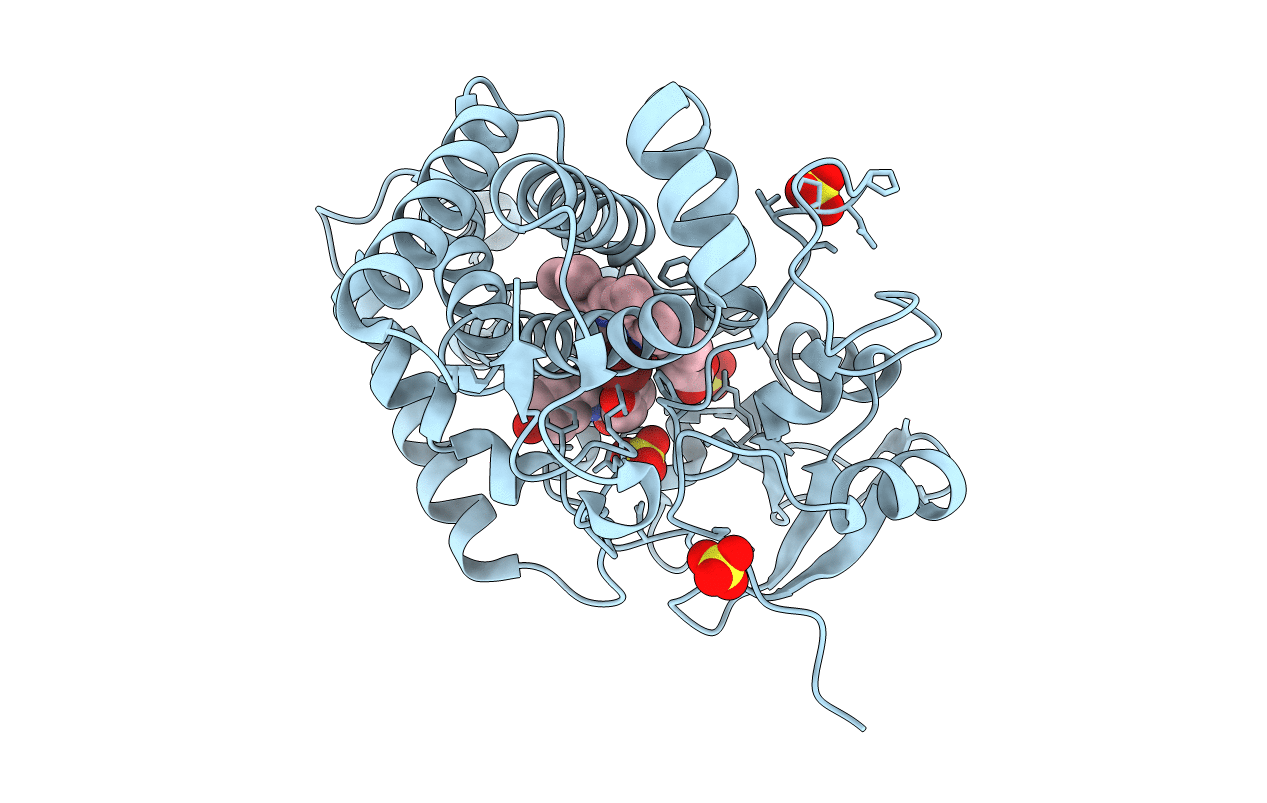 6RQB image