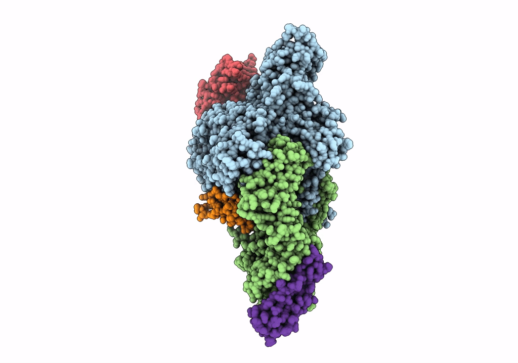 6RQJ image