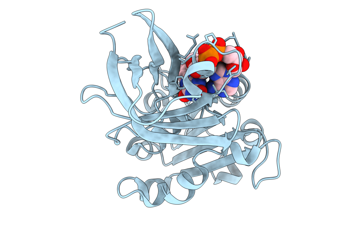 6RR3 image