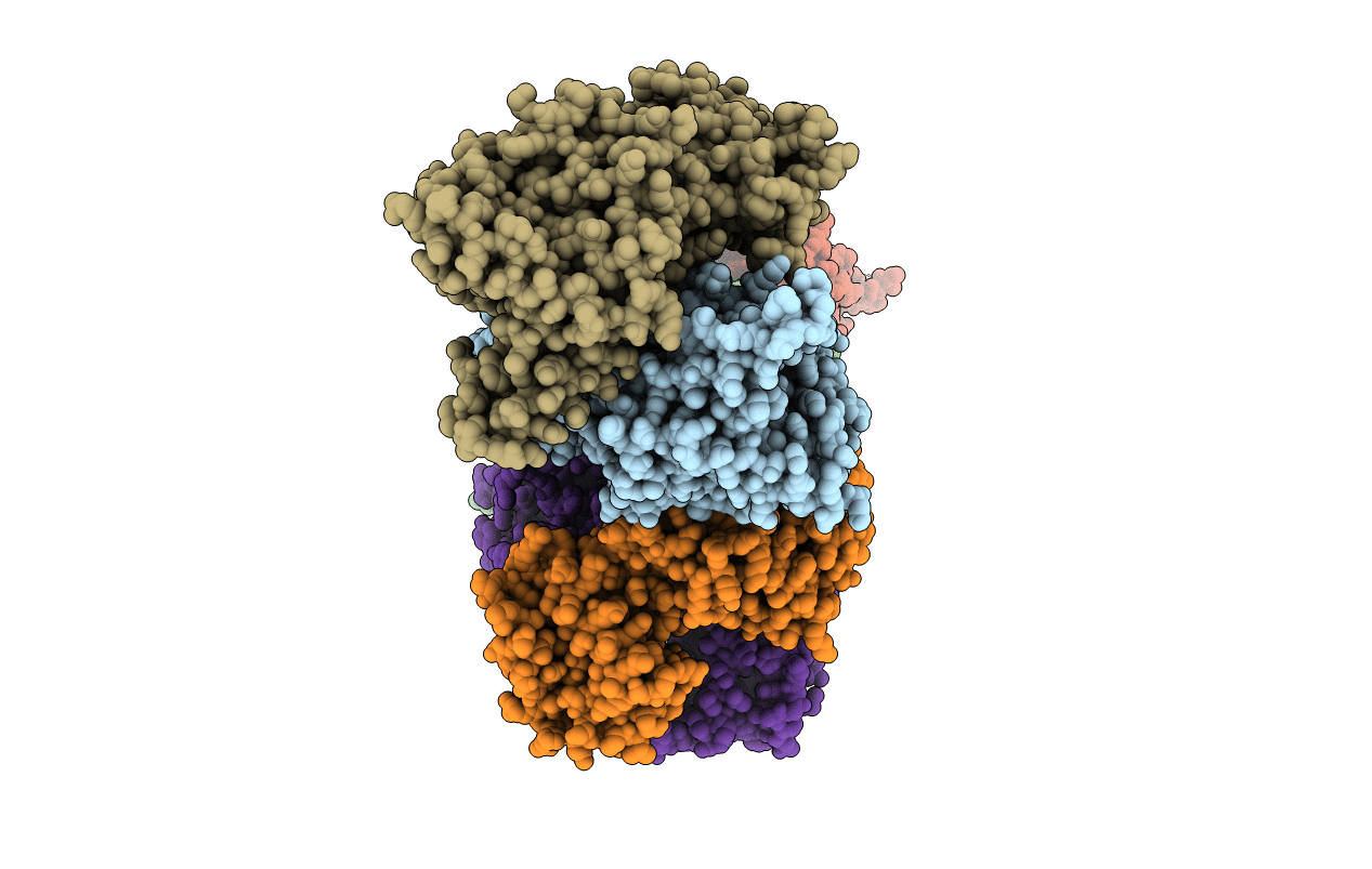 6RRE image