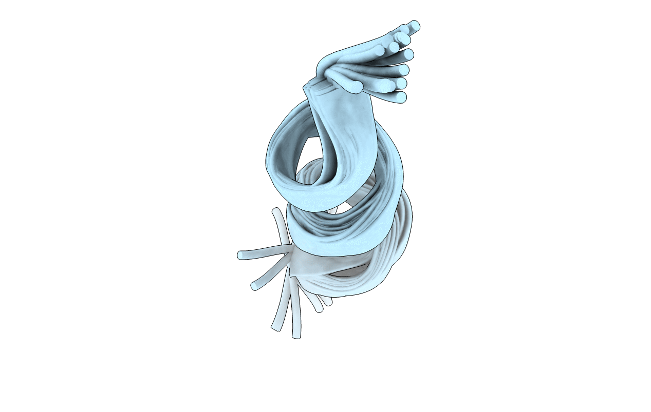 6RRL image