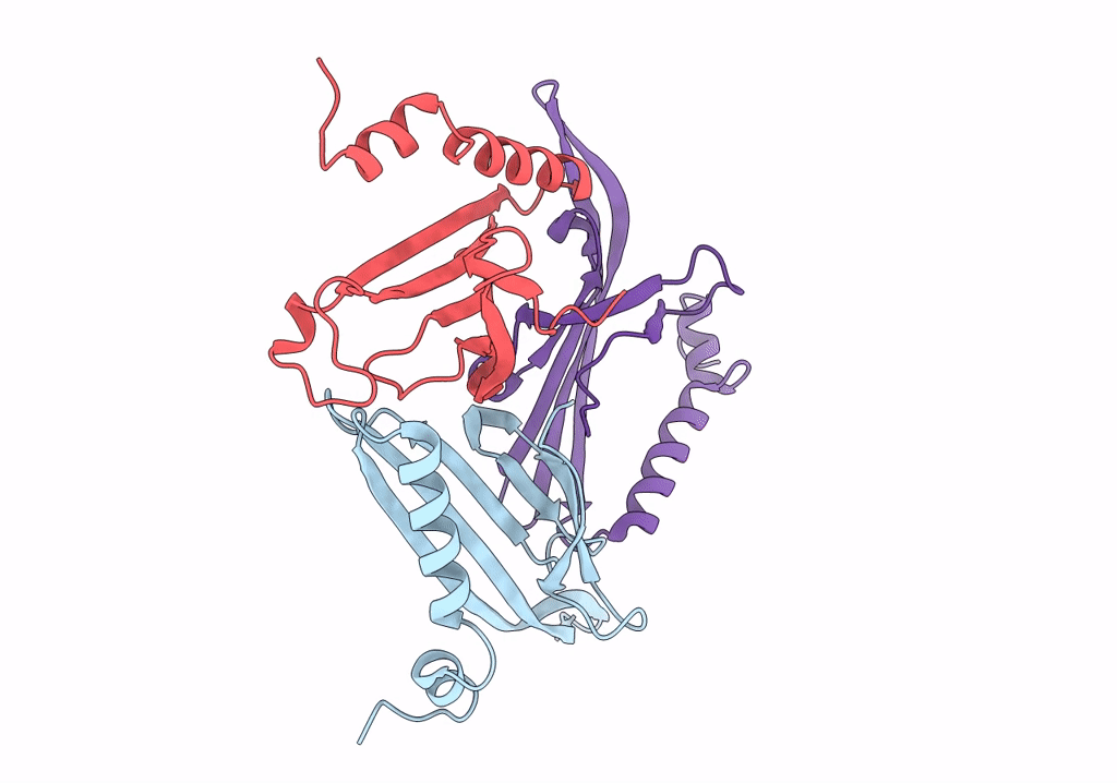 6RRS image