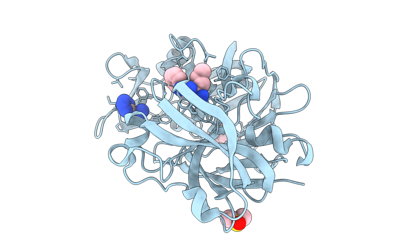 6RSV image