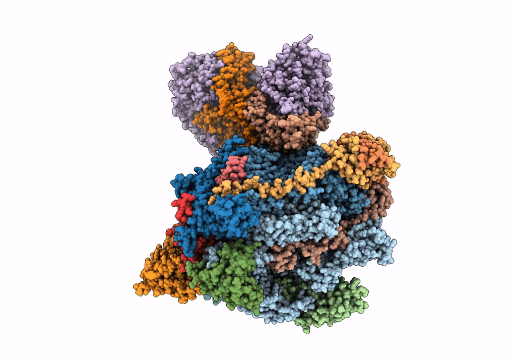 6RUO image