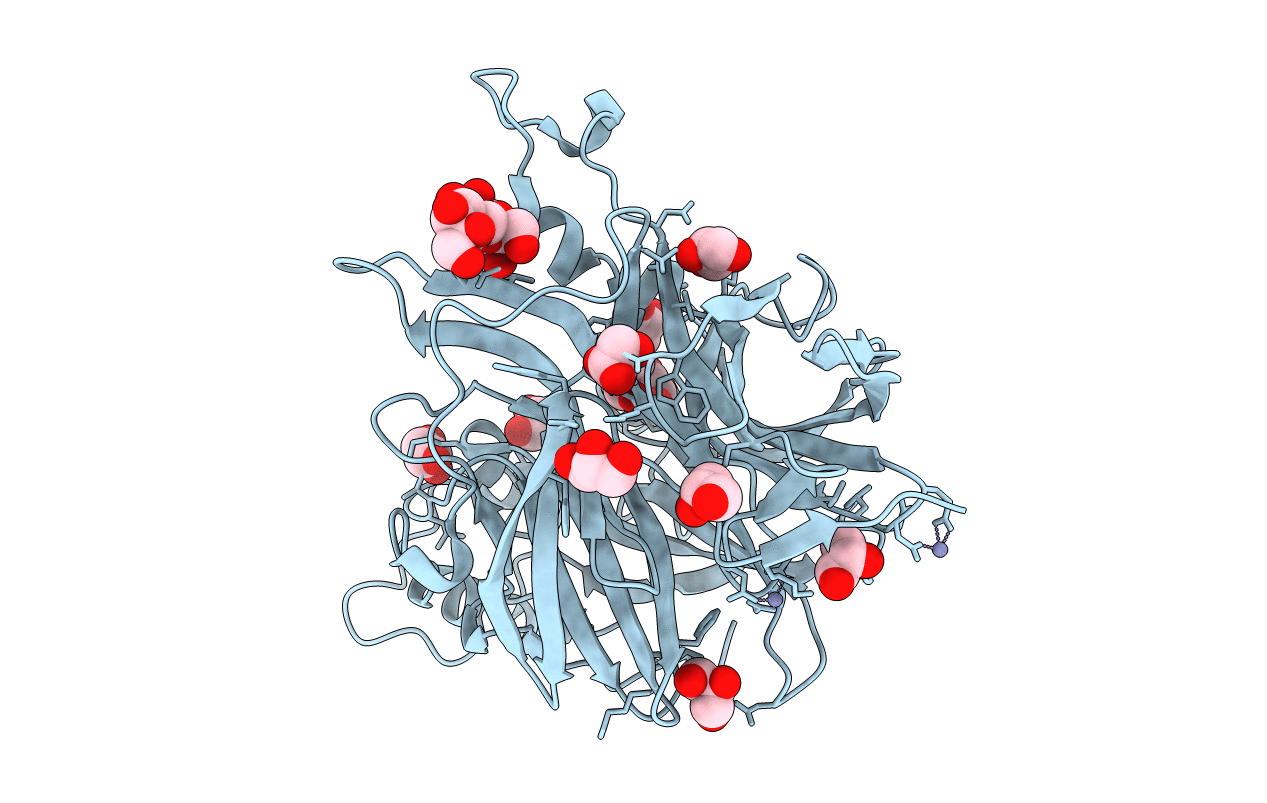 6RV5 image