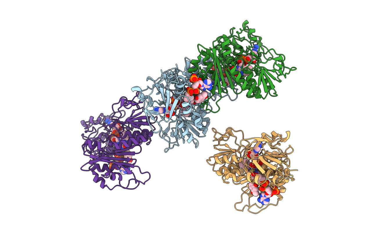 6RVH image