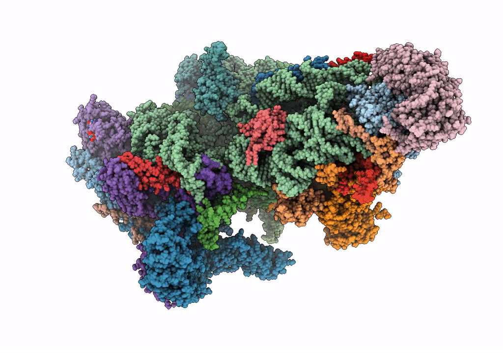 6RW4 image