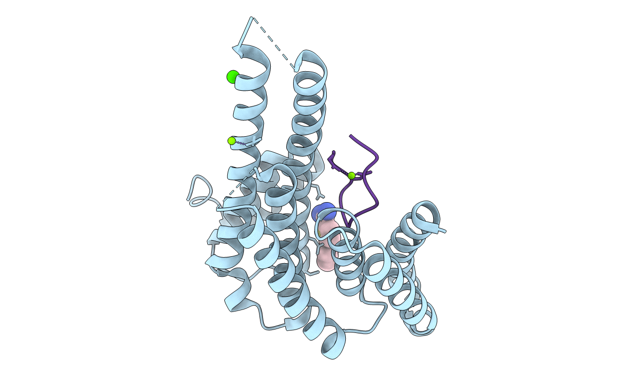 6RWI image