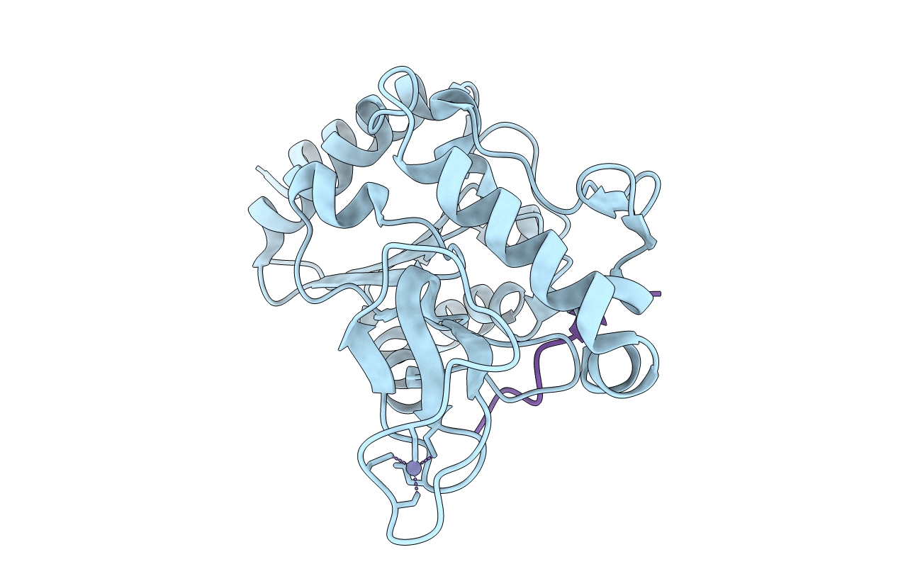 6RXK image