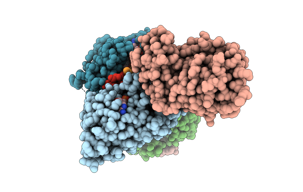 6RXQ image