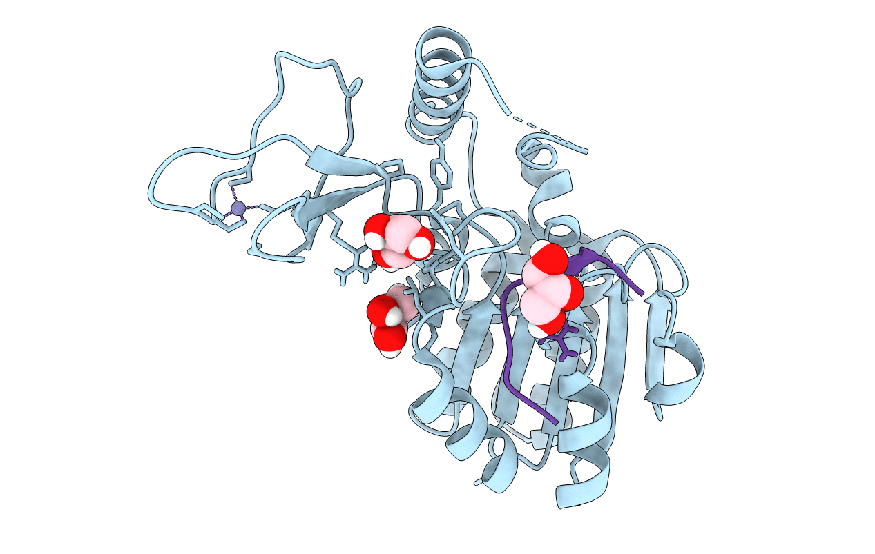6RXS image