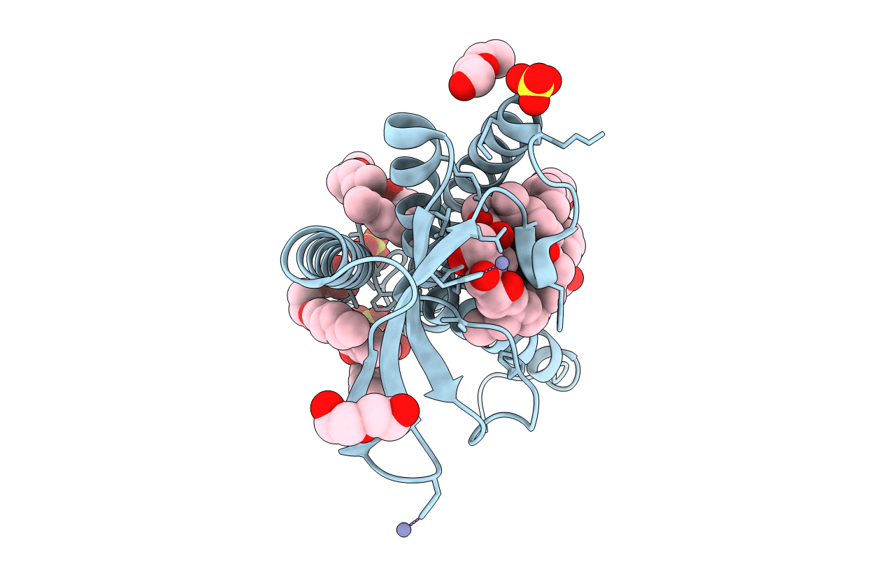 6RYP image