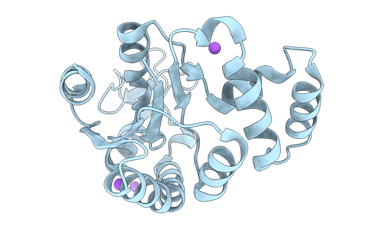 6RZE image