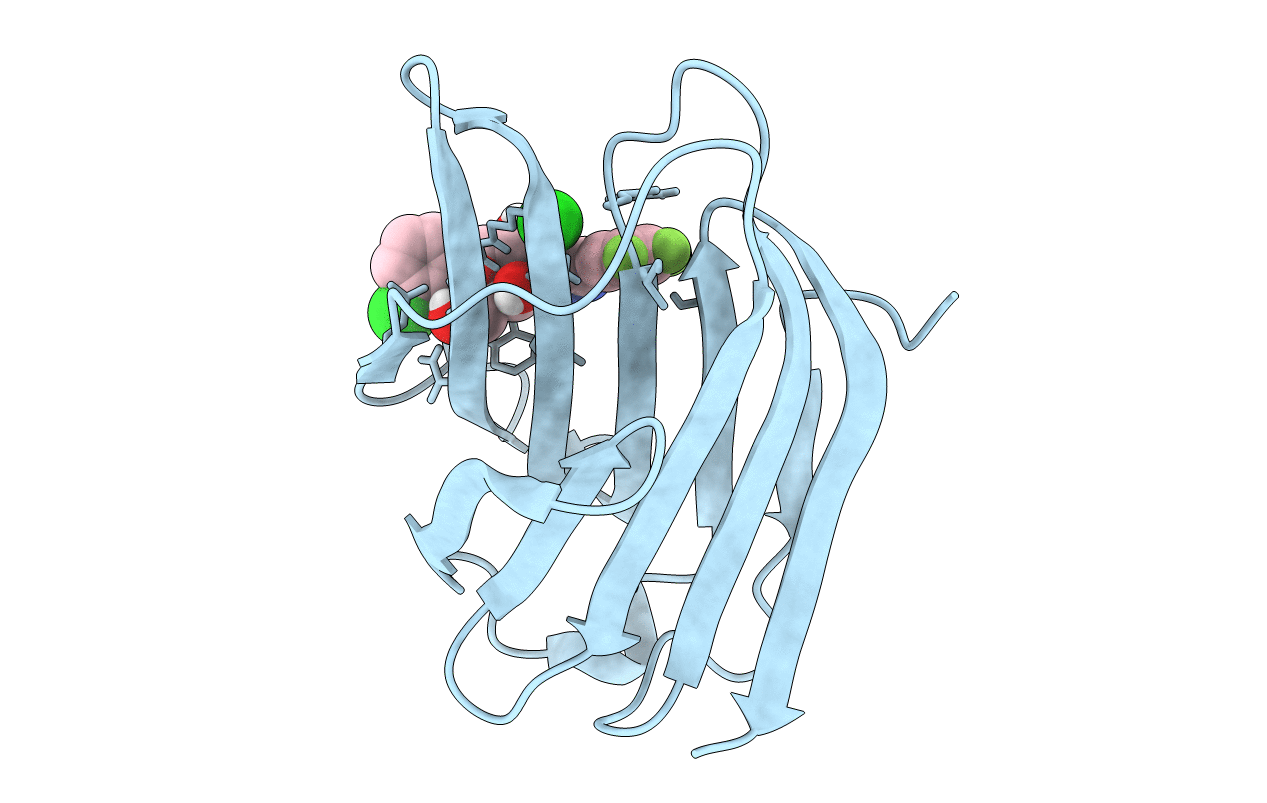 6RZK image