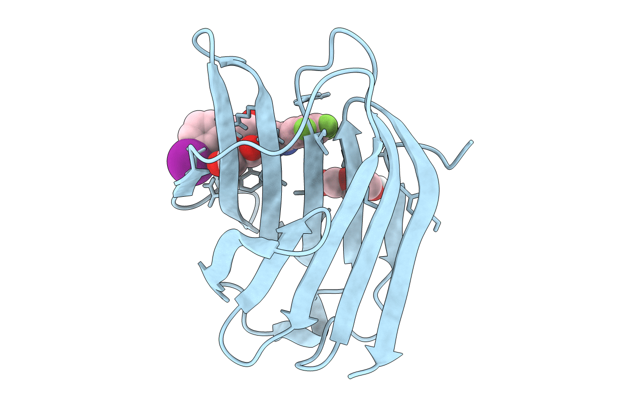 6RZM image