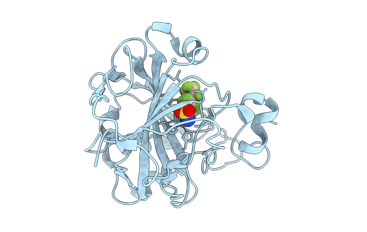 6RZX image