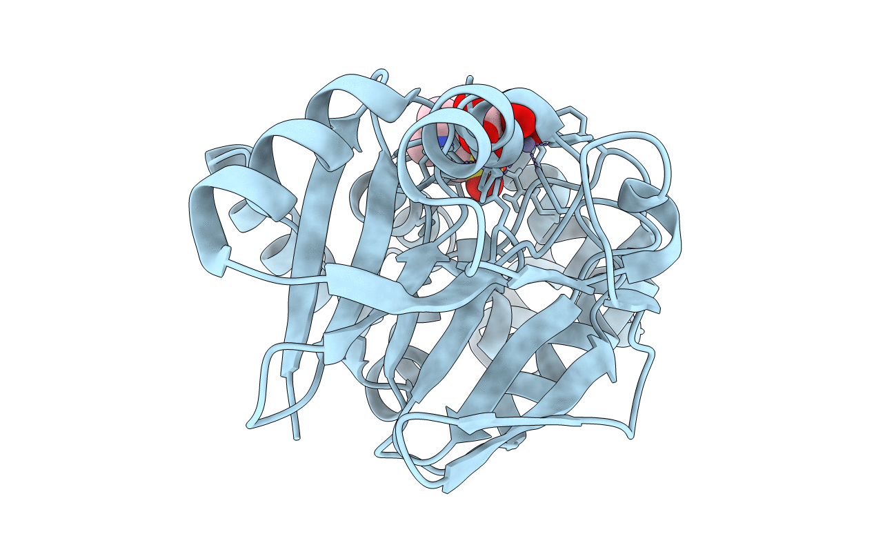 6S0I image