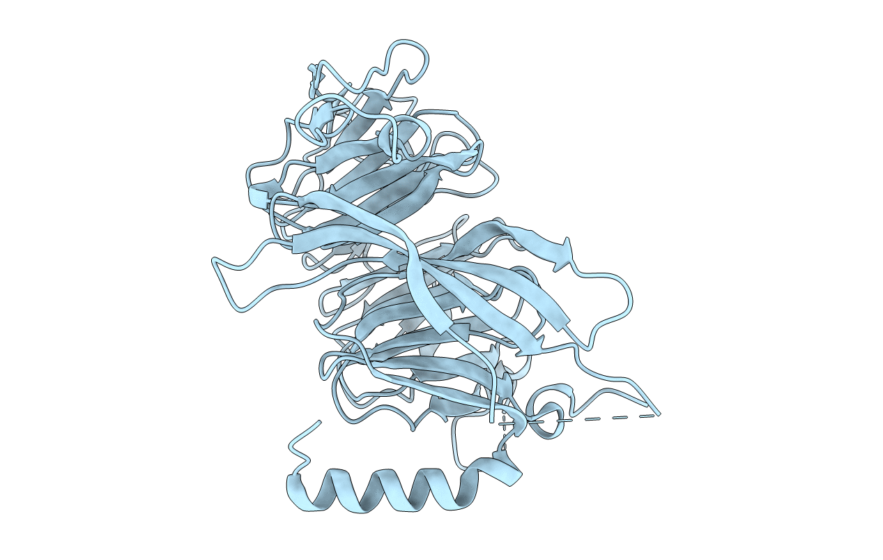 6S1L image