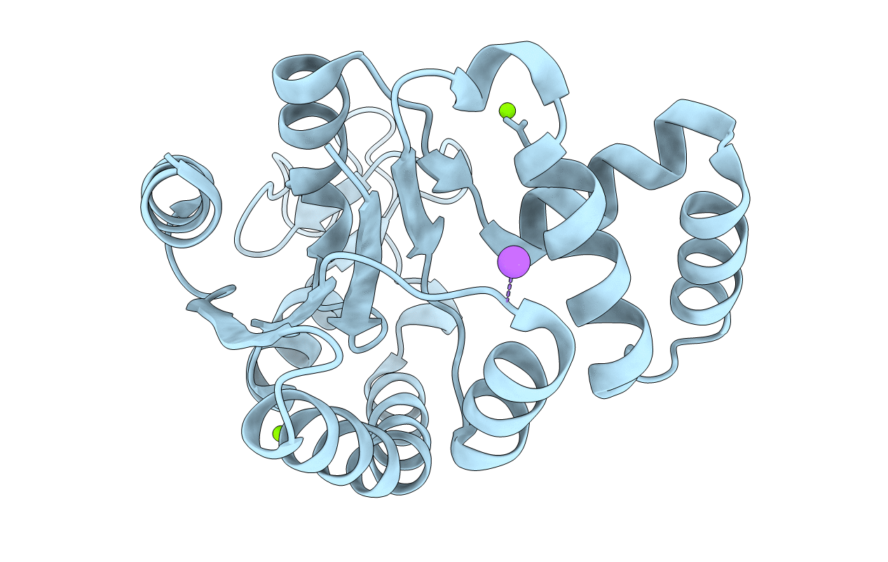 6S36 image