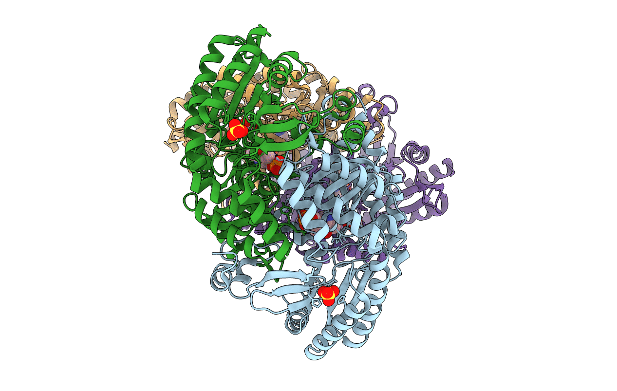 6S54 image