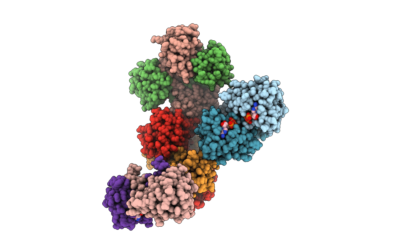 6S5N image
